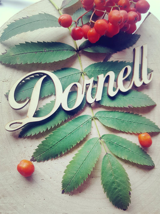 Wooden Wedding Place Cards: Laser Cut Calligraphy Guest Names