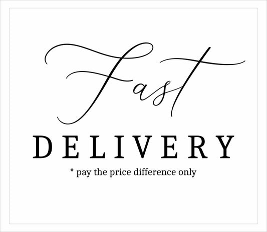 Extra payment for the faster shipping to the US